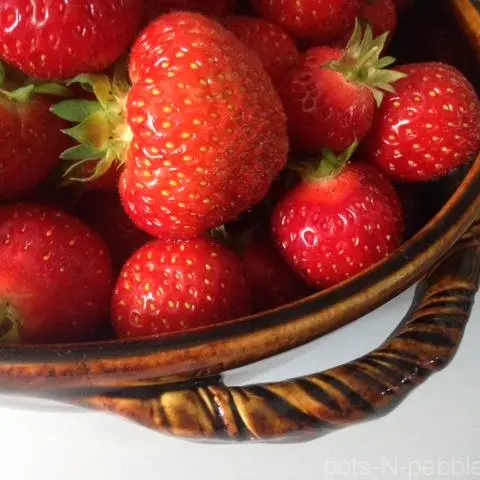strawberries in a berry bowl